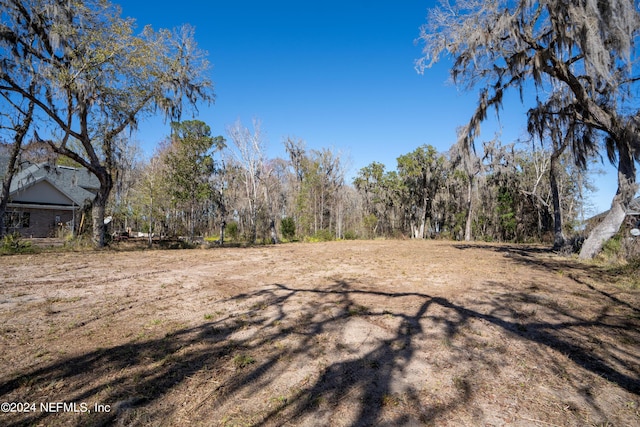 5565 Dianthus St, Green Cove Springs, FL 32043 - photo 16