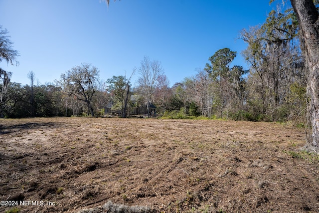 5565 Dianthus St, Green Cove Springs, FL 32043 - photo 17