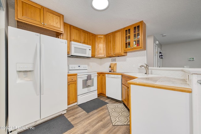 kitchen featuring a textured ceiling, sink, white appliances, and light wood-type flooring