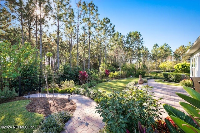 view of community featuring a patio area and a yard