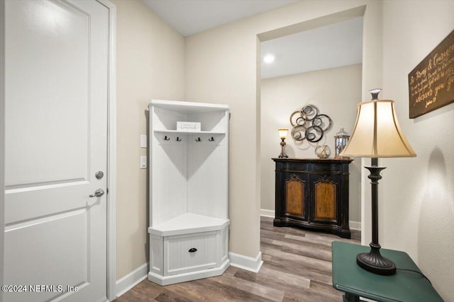 mudroom featuring wood-type flooring