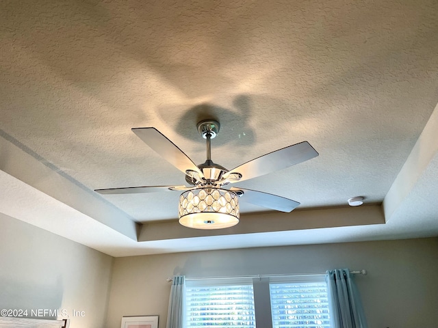 room details with a raised ceiling