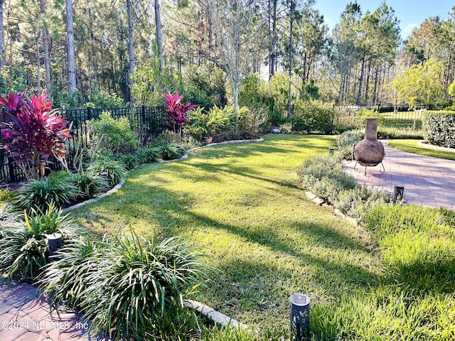 view of yard featuring a patio area