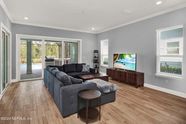 living room featuring crown molding and light hardwood / wood-style flooring