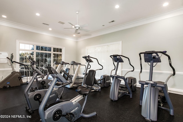 workout area with ceiling fan and crown molding