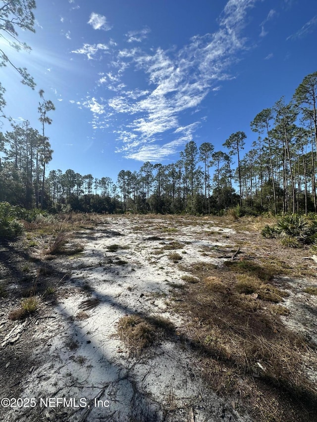 207 Ponderosa Pines Ct, Georgetown FL, 32139 land for sale