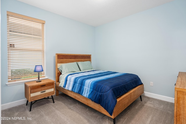 bedroom with carpet flooring