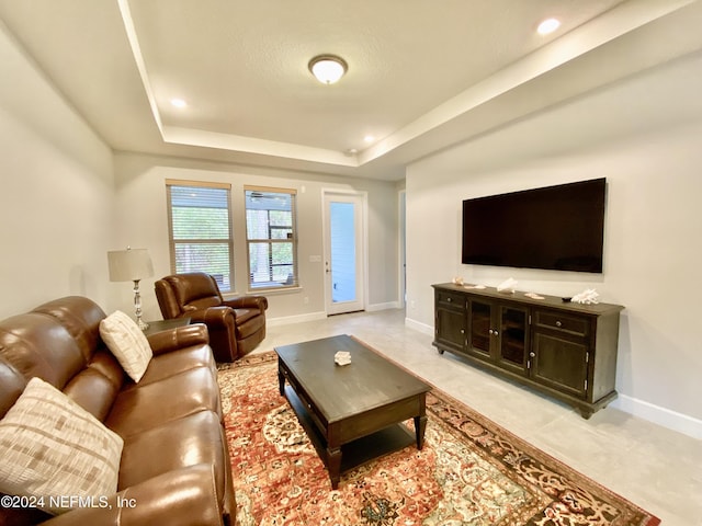 living room with a raised ceiling