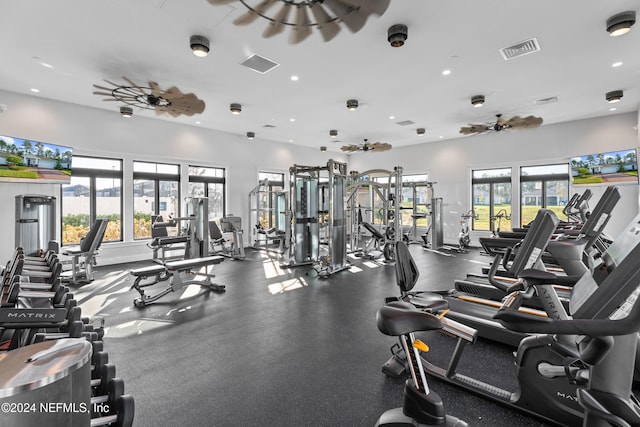 exercise room featuring plenty of natural light and ceiling fan