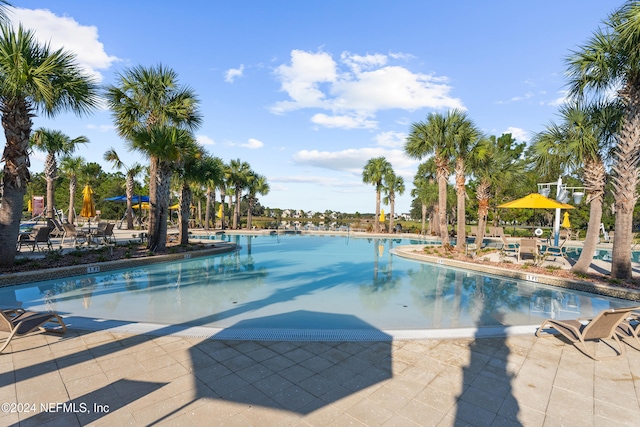 view of pool featuring a patio area