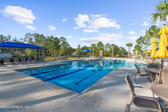 view of pool with a patio area