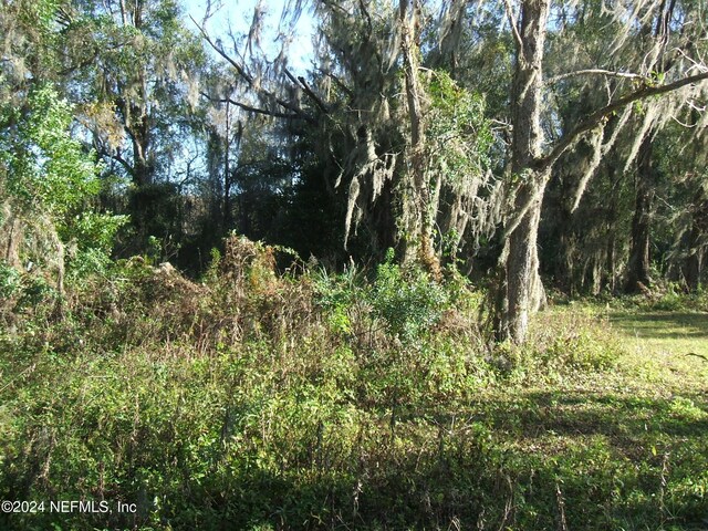 22431 NE 200b, Lawtey, FL 32058 - photo 15