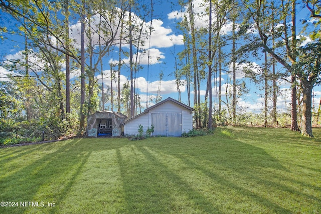 view of yard with a storage shed