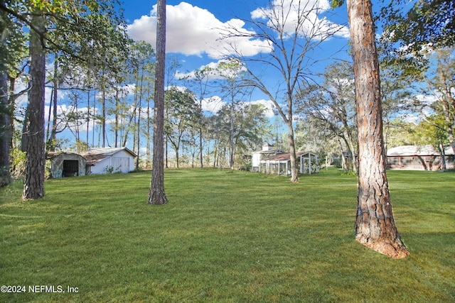 view of yard featuring an outdoor structure