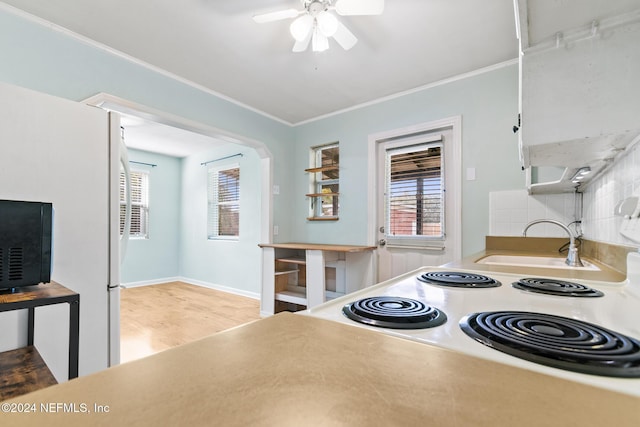 kitchen featuring decorative backsplash, ceiling fan, sink, and a wealth of natural light