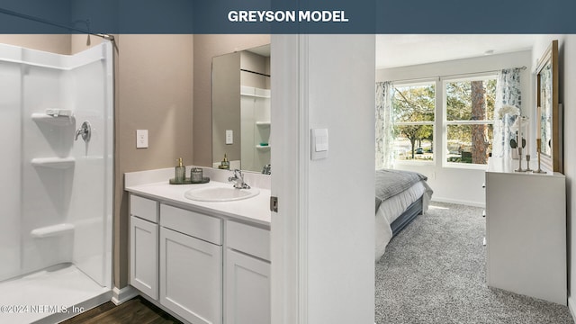 bathroom featuring vanity and walk in shower