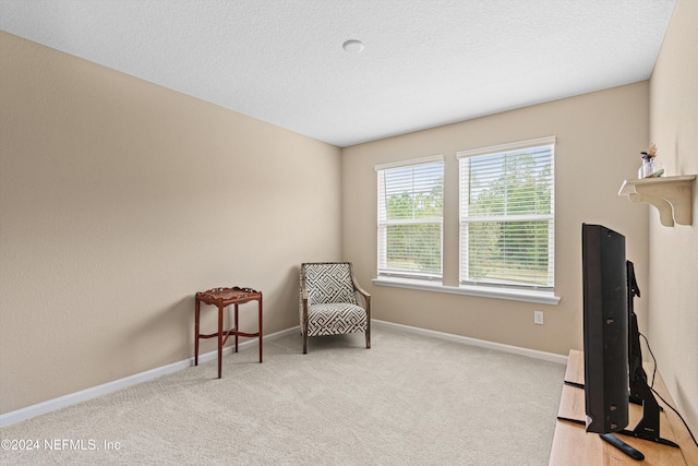 sitting room featuring light colored carpet and a textured ceiling