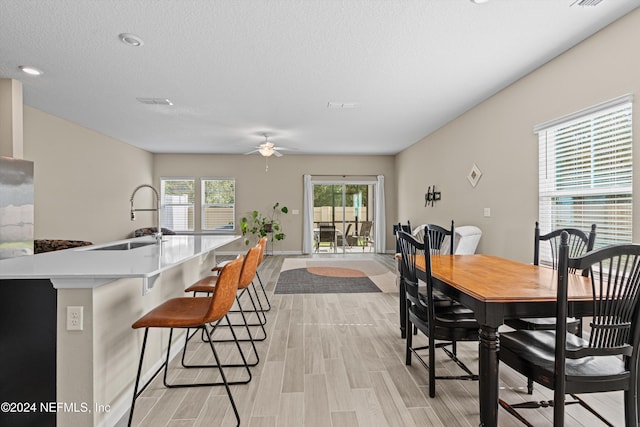 dining space with a textured ceiling, ceiling fan, light wood-type flooring, and sink