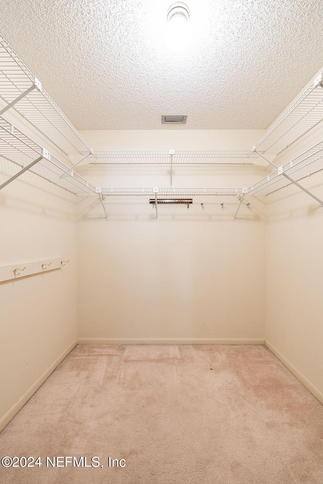 spacious closet with carpet floors