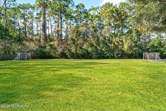 8126 Sabal Oak Ln, Jacksonville, FL 32256 - photo 31
