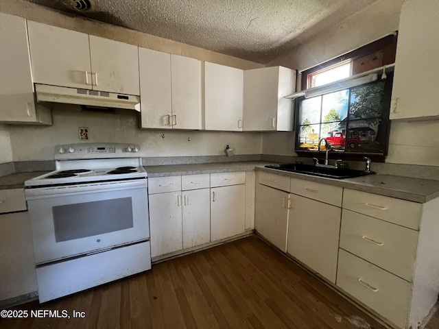 kitchen featuring white range with electric stovetop, dark wood finished floors, a textured ceiling, under cabinet range hood, and a sink