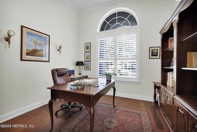 office featuring ornamental molding and dark wood-type flooring