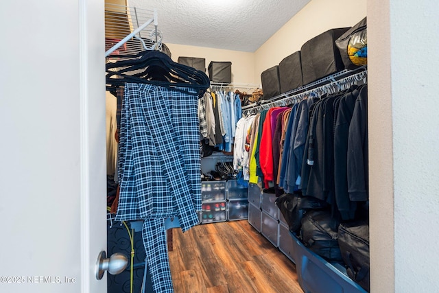 walk in closet featuring dark wood-type flooring