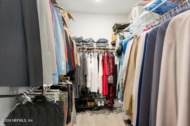 walk in closet with light hardwood / wood-style flooring