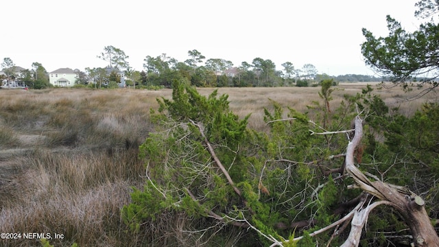 view of nature featuring a rural view