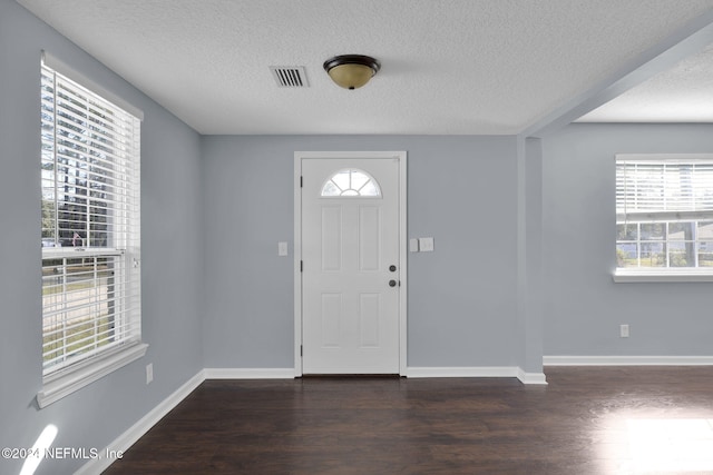 foyer with dark wood-type flooring, a textured ceiling, and a wealth of natural light