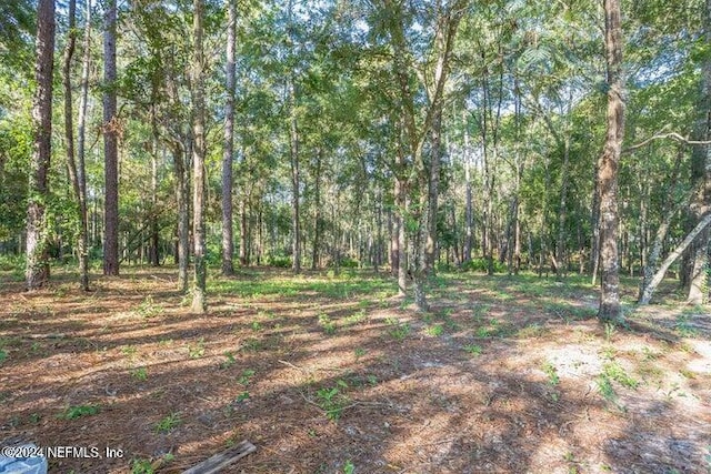 4843 Alligator Blvd, Middleburg FL, 32068 land for sale