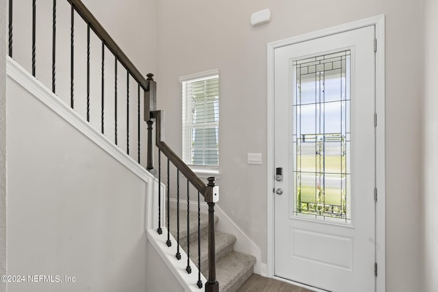 entryway with wood-type flooring and a wealth of natural light