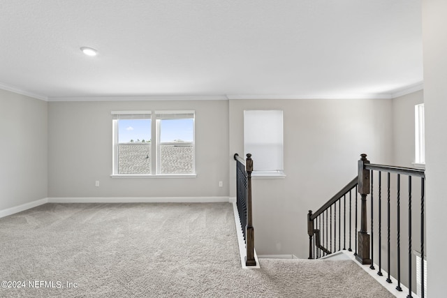 interior space featuring ornamental molding