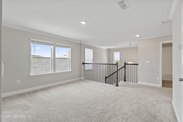 empty room with carpet floors and crown molding