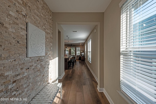 hallway featuring plenty of natural light and dark hardwood / wood-style floors