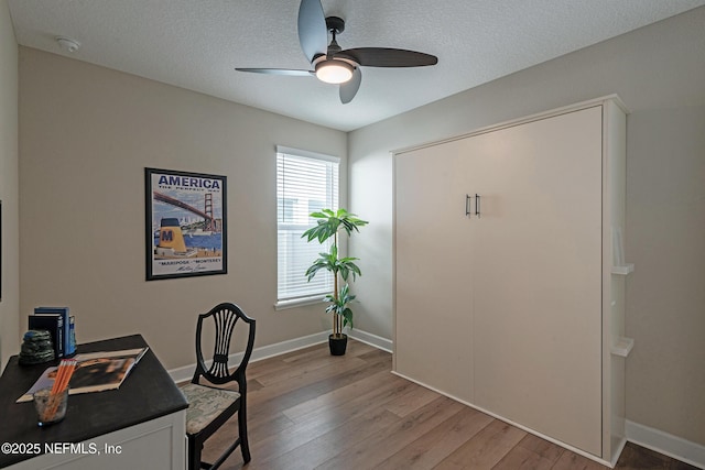 office space with ceiling fan, light hardwood / wood-style flooring, and a textured ceiling