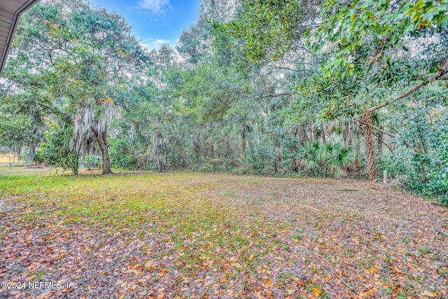 1 Farrington Ln, Palm Coast, FL 32137 - view of yard with a forest view