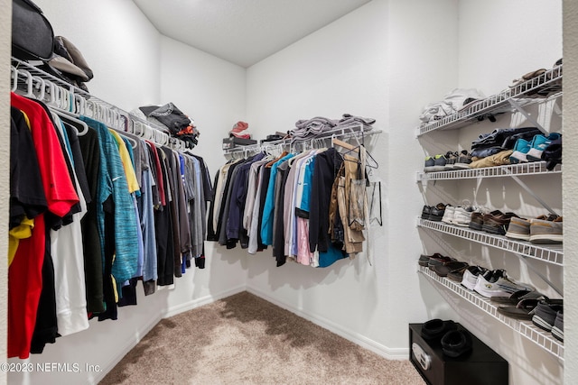 spacious closet with carpet flooring