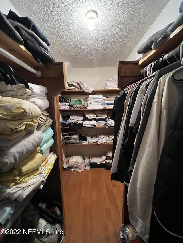 spacious closet with wood-type flooring