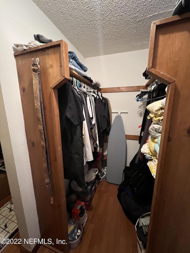 spacious closet featuring wood-type flooring