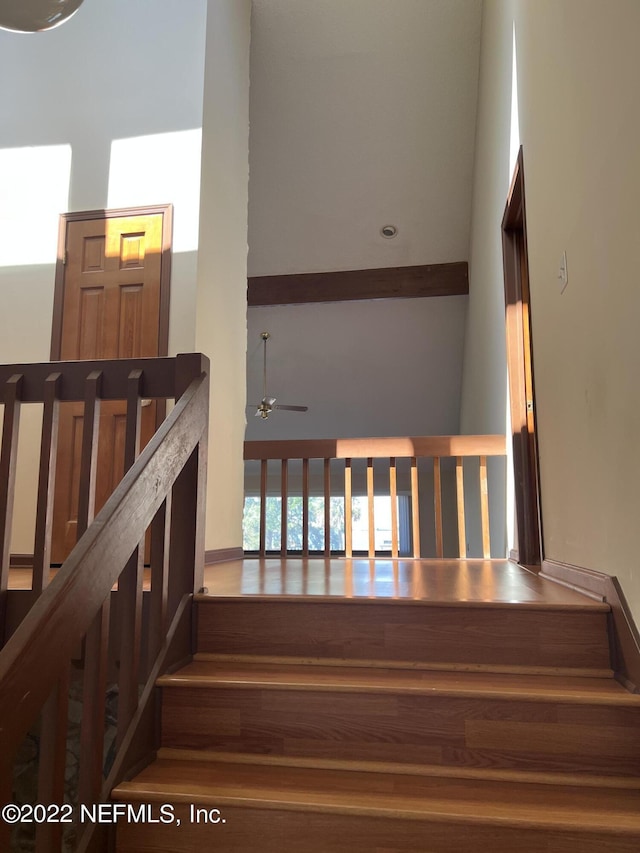 stairs featuring ceiling fan and hardwood / wood-style floors