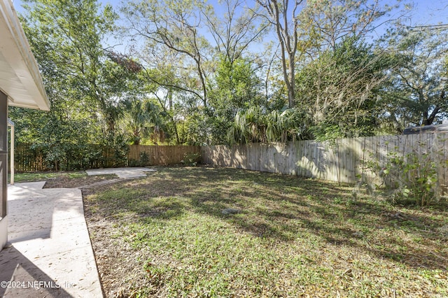 view of yard featuring a patio