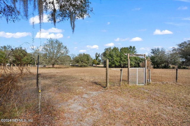 view of yard with a rural view