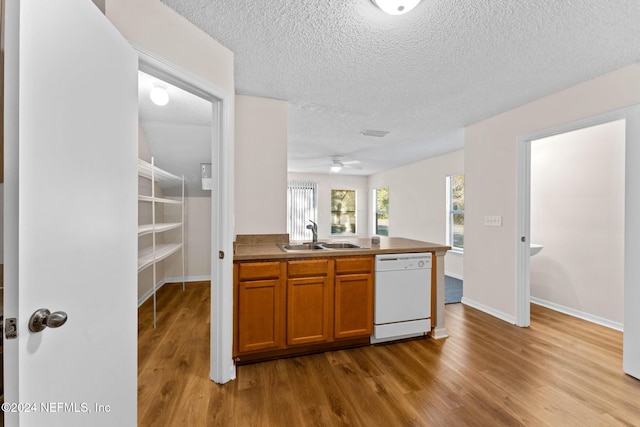 kitchen featuring dishwasher, a textured ceiling, light wood-type flooring, and sink