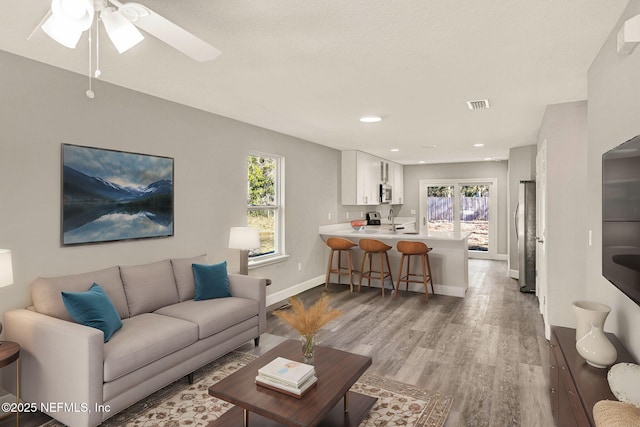 living room with hardwood / wood-style floors, a wealth of natural light, sink, and ceiling fan