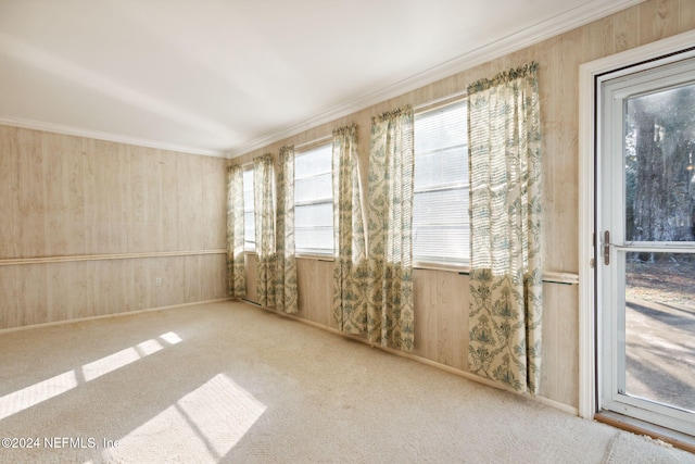 carpeted empty room with ornamental molding and wooden walls