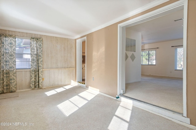 carpeted empty room featuring crown molding and wooden walls