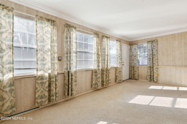 unfurnished room with carpet flooring, crown molding, and wooden walls