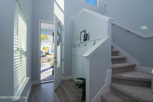 foyer with hardwood / wood-style floors