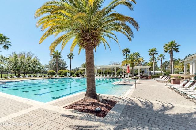 view of swimming pool with a patio area and a pergola